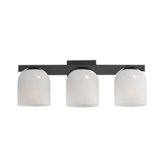 Scoop Three Light Bath Vanity in Black (16|21233MRBK)