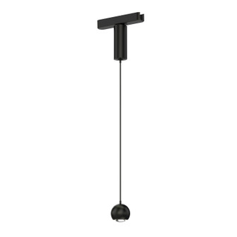 Continuum - Track LED Track Pendant in Black (86|ETL31251-BK)