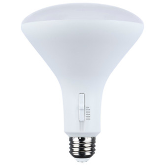 Light Bulb in White (230|S11785)