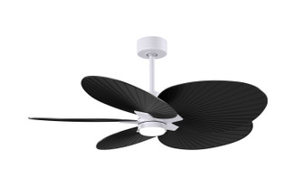 Alessandra Tropical - LK 48'' Ceiling Fan in Matte White (101|AKTPLK-MWH-BK)