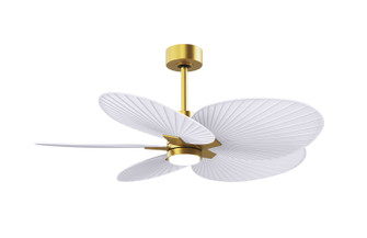 Alessandra TROPICAL - LK 48''Ceiling Fan in Brushed Brass (101|AKTPLK-BRBR-MWH)