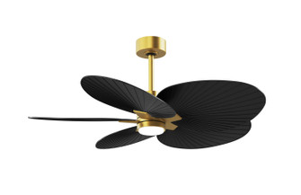 Alessandra Tropical - LK 48'' Ceiling Fan in Brushed Brass (101|AKTPLK-BRBR-BK)