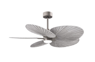Alessandra Tropical - LK 48'' Ceiling Fan in Brushed Nickel (101|AKTPLK-BN-BW)