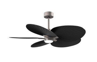 Alessandra Tropical - LK 48'' Ceiling Fan in Brushed Nickel (101|AKTPLK-BN-BK)
