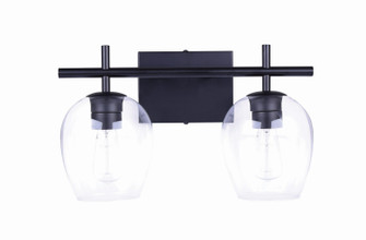 Cain Two Light Vanity in Black (387|IVL1019A02BK)