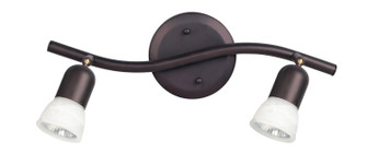 James Two Light Track Lighting in Oil Rubbed Bronze (387|IT356A02ORB10)