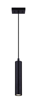 Carver One Light Pendant in Black (387|IPL764A01BK10)