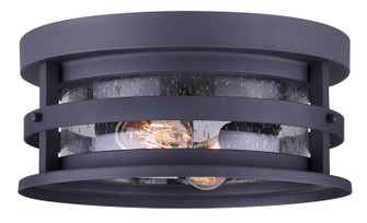 Duffy Two Light Outdoor Lantern in Metal (387|IOL342BK)
