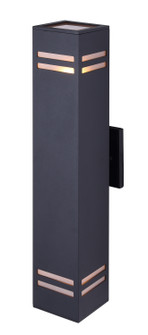 Tay Two Light Outdoor Lantern in Black (387|IOL309BK)