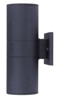 Baylyn Two Light Outdoor Lantern in Black (387|IOL282BK)