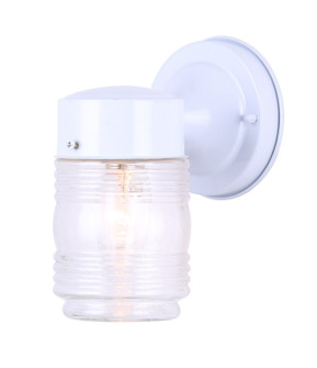 Outdoor One Light Outdoor Lantern in White (387|IOL2011)