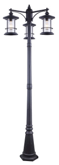 Treehouse Three Light Outdoor Lantern in Black (387|IOL156BK)