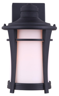Maya One Light Outdoor Lantern in Black (387|IOL138BK)
