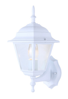 Outdoor One Light Outdoor Lantern in White (387|IOL111)