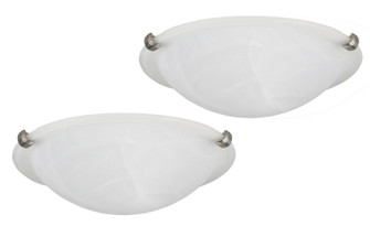 16 Series Two Light Flush Mount in Brushed Pewter (387|IFM161251T)