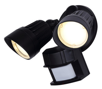 Outdoor Securtiy LED Security Light in Black (387|HO-01-02S-BK)
