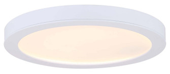 Led Disk Light LED Disk in White (387|DL-11C-22FC-WH-C)