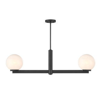 Two Light Linear Chandelier in Matte Black (446|M100124MBK)