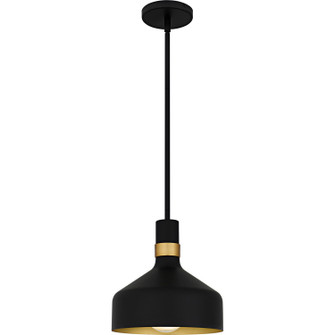 Quoizel Piccolo Pendant One Light Mini Pendant in Matte Black (10|QPP6804MBK)