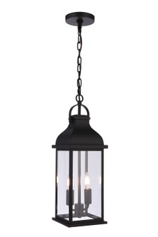 Bent Tree Two Light Outdoor Pendant in Midnight (46|ZA7211-MN)