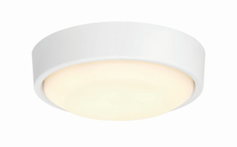 AMIGO 52 LIGHT KIT LED Fan Light Kit in White (46|AMG52LK-W-LED)