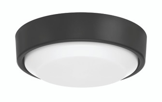 AMIGO 52 LIGHT KIT LED Fan Light Kit in Flat Black (46|AMG52LK-FB-LED)