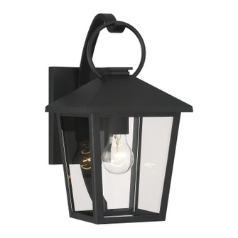 Parkside One Light Outdoor Wall Sconce in Sand Coal Black (7|78000-66)