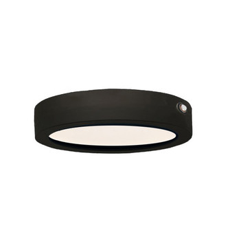 Wafer - 0-10 V LED Surface Mount in Black (16|58784WTBK)
