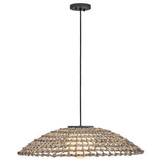 Arlen LED Hanging Lantern in Black (13|10395BK)