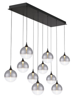 Iissa Ten Light Chandelier in Black (40|48933-025)