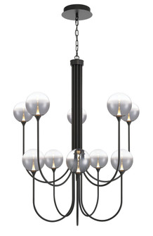 Iissa Ten Light Chandelier in Black (40|48926-027)
