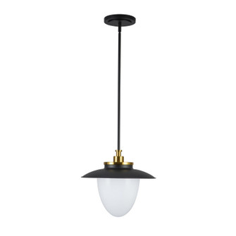 Dahlia One Light Pendant in Black (78|AC11905BB)