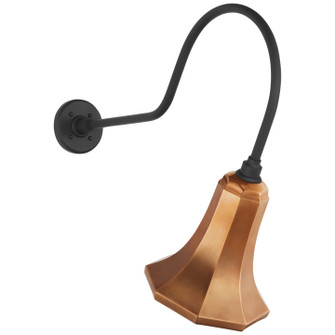 Academy Barn Light LED Barn Light in Matte Black (268|TOB 2803MBK/S9-SC)