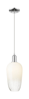 Arcadia One Light Mini Pendant in Polished Chrome (405|716-1P-PC-G484-7OP)