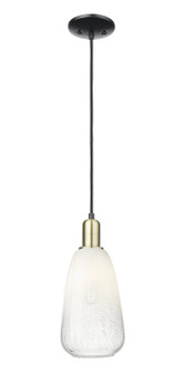Arcadia One Light Mini Pendant in Black Antique Brass (405|716-1P-BAB-G480-6OP)