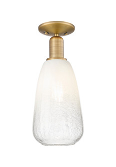 Arcadia One Light Semi-Flush Mount in Brushed Brass (405|716-1C-BB-G480-6OP)