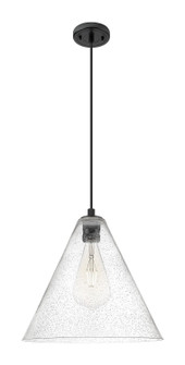 Downtown Urban One Light Pendant in Matte Black (405|434-1P-BK-GBC-164)