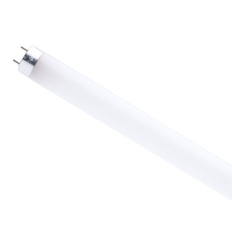 Light Bulb in Gloss White (230|S49936R1)