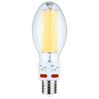 Light Bulb in Clear (230|S13195)