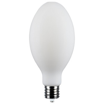Light Bulb in White (230|S13192)