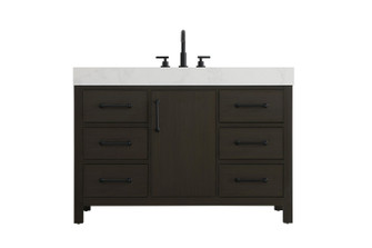 Nathan Bathroom Vanity in Mocha Brown (173|VF60648MMB)