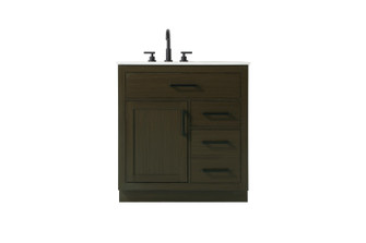 Alden Bathroom Vanity in Mocha Brown (173|VF29732MMB)