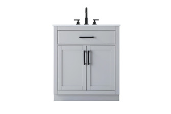 Alden Bathroom Vanity in Grey (173|VF29730GR)