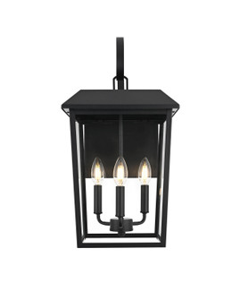 Riggs Three Light Outdoor Wall Sconce in Black (173|OD502W22BK)