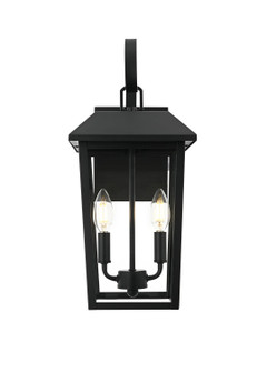 Riggs Two Light Outdoor Wall Sconce in Black (173|OD502W18BK)