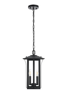 Thayer Two Light Outdoor Pendant in Black (173|OD327H17BK)