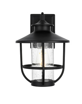 Janney One Light Outdoor Wall Sconce in Black (173|OD314W13BK)