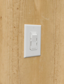 Wall Switch Only (509|LTR-S-TUN-SW)