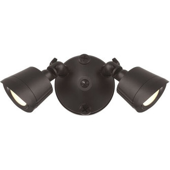 LED Double Flood Light in Bronze (51|4-FLOOD-A2-3CCT-BZ)
