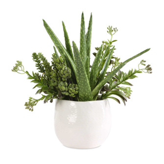 Sundown Succulent Planter in Gloss White (52|60244)